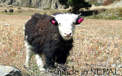 made in NEPAL