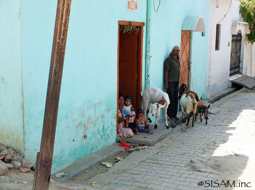 KALATMAK / WORLD FAIR TRADE ORGANIZATION