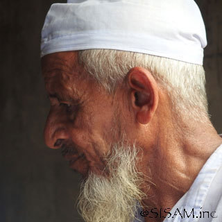 Noah’s Ark / WORLD FAIR TRADE ORGANIZATION