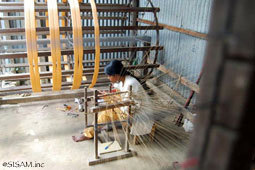 Sasha / WORLD FAIR TRADE ORGANIZATION