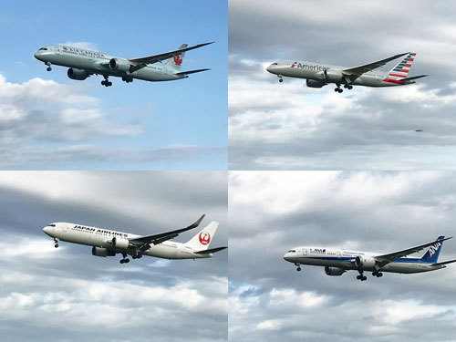 さくらの山公園