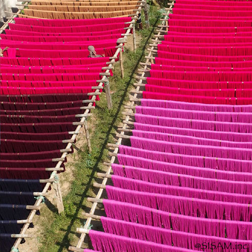 Sasha / WORLD FAIR TRADE ORGANIZATION