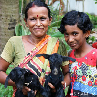 Sasha / WORLD FAIR TRADE ORGANIZATION